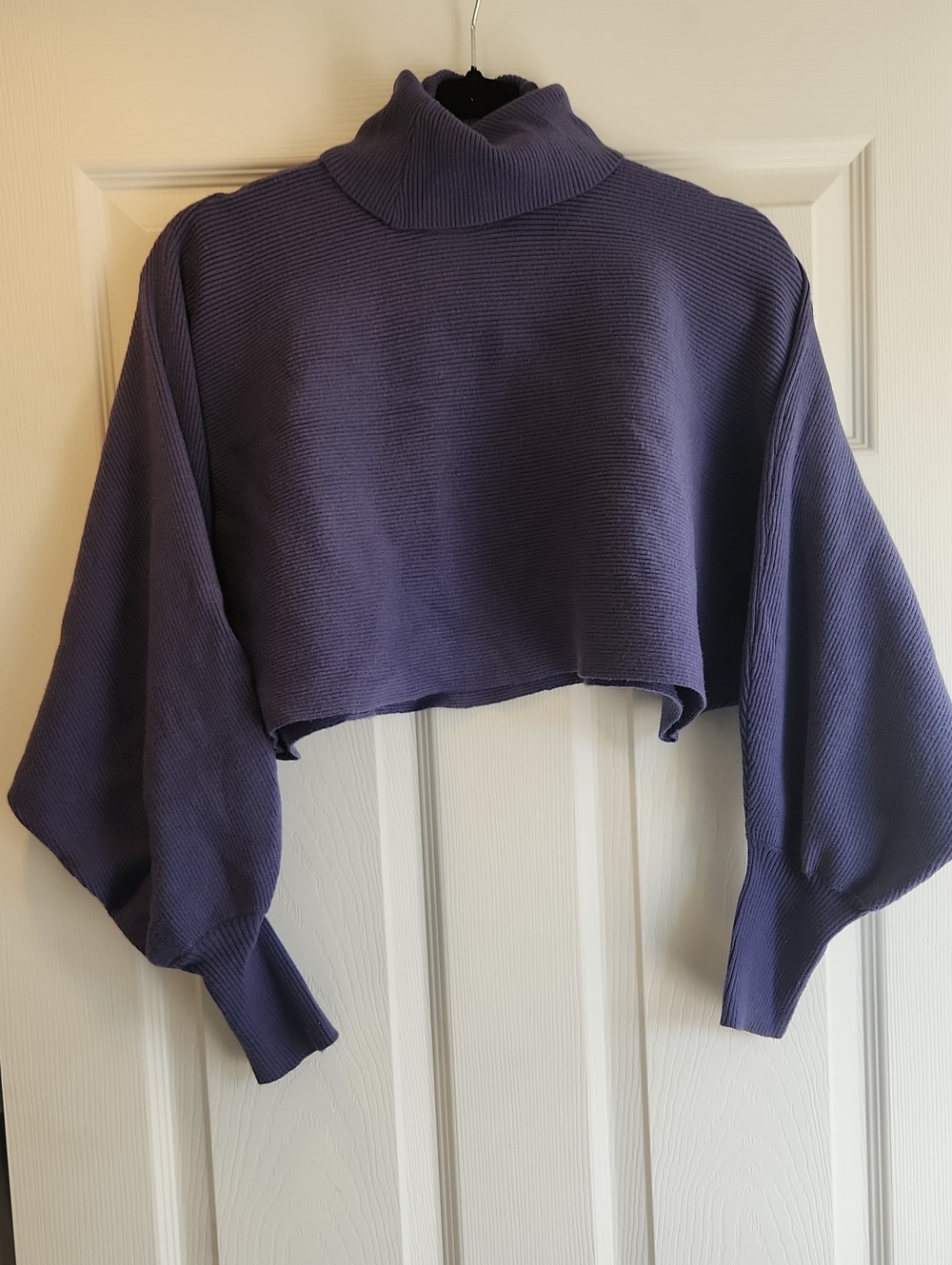 Forever 21 Cropped Ribbed Turtleneck in Deep Purple